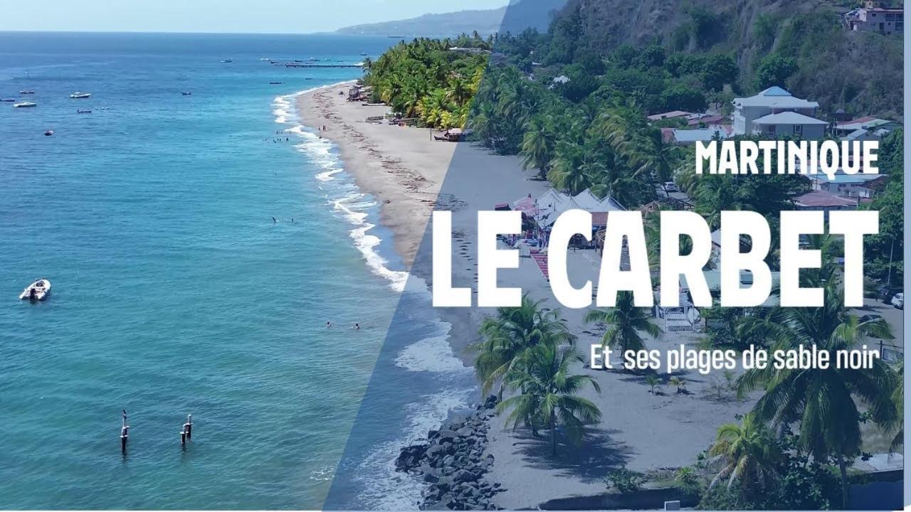 Apartmán Votre Bungalow "Petit Tresor" Vintage 80 Le Carbet Exteriér fotografie